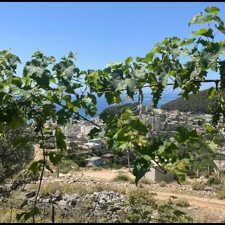 Kongjonis *